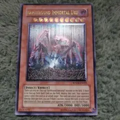 wmjp様 リクエスト 2点 まとめ商品