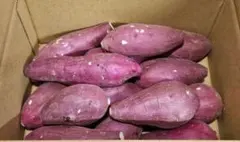 【農家直送】熊本県産熟成紅はるか（小さめ、900kg以上〜）