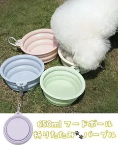 Item thumbnail for item 044b33fd-3aff-441a-b901-941286b18ff1