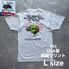 90s usa 製 フルーツオブザルーム　両面　プリント　バック　ストリート　T