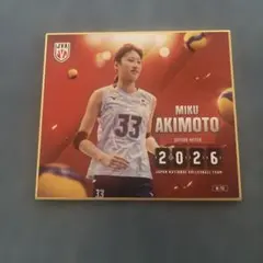 バレーボール女子日本代表 和田由紀子 トレーディングmini色紙 - メルカリ