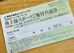 東急不動産HD スキー場 優待券 １枚