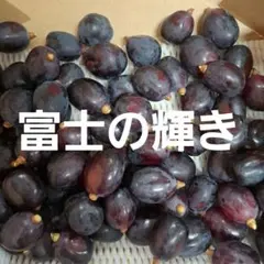 富士の輝き (黒いシャインマスカット)