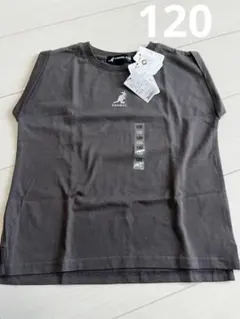 Item thumbnail for item 342855bd-8ed1-4672-bcb3-32935fdceb50