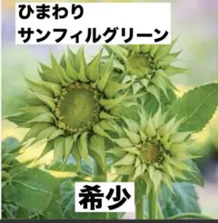 uqb様 リクエスト 3点 まとめ商品