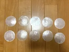 シェルプレート　10枚セット