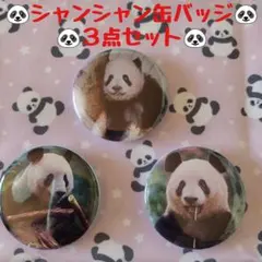 2025年最新】シャンシャン 缶バッジの人気アイテム - メルカリ