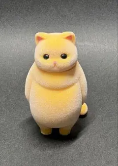 「虚無。猫～纏（まとい）～」黄猫