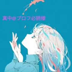 真中@プロフ必読様 リクエスト 2点 まとめ商品
