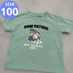 PAW PATROL マーシャル チェイス Tシャツ 100cmのサムネイル