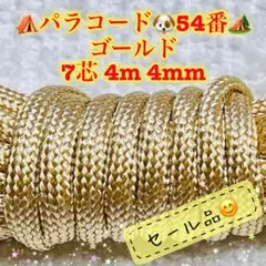 Item thumbnail for item 5dcef878-5715-4bdf-9c57-baacb7427865