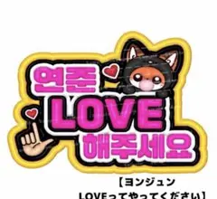 カンペ ファンサボード ペンサボードTXT ヨンジュン ぷっくり ネームボード