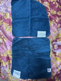 Item thumbnail for item 9a841226-1f3a-4080-9421-22ad821cc87d