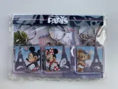 【未開封】Disney land PARIS キーホルダー