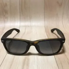 Ray-Ban サングラス 0RB2132F NEW WAYFARER