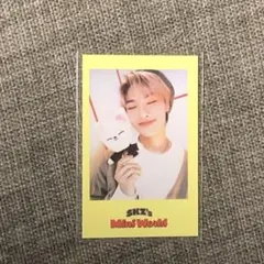 アイエン シーグリ ポラロイド JYP特典