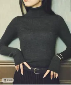 ruban turtle ニット　グレー　34