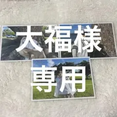 M!LK 吉田仁人 生写真 45杯目