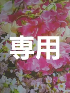 ぶーちゃん様専用お取り置き 他の方は購入をお控え下さい