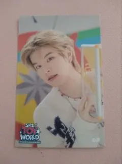 Stray Kids ストレイキッズ ペンミ スンミン ステッカー