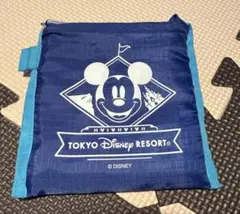 TOKYOディズニーRESORTエコバッグ　廃盤