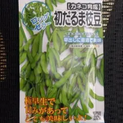 まりも様 リクエスト 2点 まとめ商品