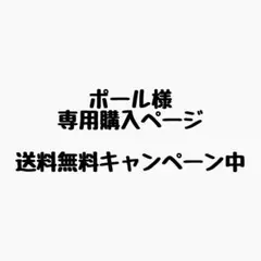 ポール様 リクエスト 4点 まとめ商品