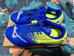 Mizuno 卓球シューズ 25.0cm 青/黄
