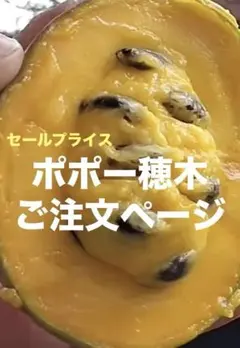 ポポーの穂木 品種 : 1本　新商品！ 1000円　送料無料 *注文ページ