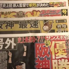阪神優勝おめでとう　号外４種セット