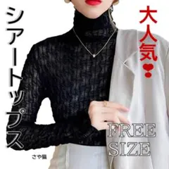 Kst22 シアートップス 透け感 シースルー 重ね着 タートルネック ブラック