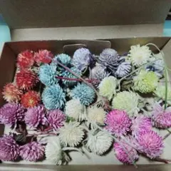 あっちゃん☆3児のまま様 リクエスト 2点 まとめ商品