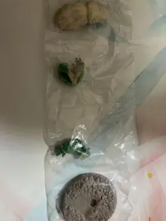 モンスターハンター モンハン 捕獲し隊4 チャタカブラ