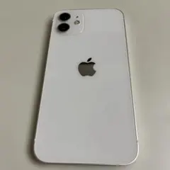 Item thumbnail for item 1b4249ba-1b94-4d99-aa31-2b75672ecbfc