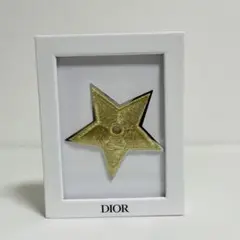 Christian Dior ディオール ノベルティ ピンバッジ