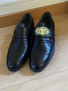 Item thumbnail for item 2c07bd8a-09e9-4020-bef7-66760e195252