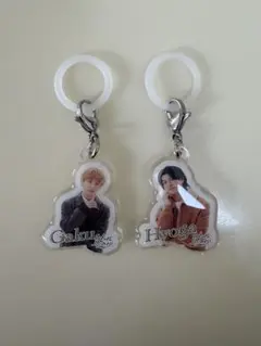 EBiDANアンブレラマーカー Sakurashimeji