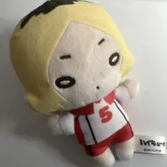 ハイキュー 孤爪研磨 にとたん ぬい