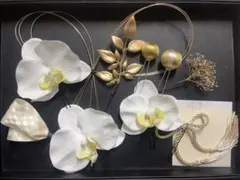 布製胡蝶蘭髪飾りセット　和装　前撮り　結婚式　成人式　卒業式　ドライフラワー
