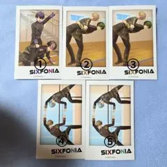 シクフォニ ランダムチェキ風カード