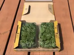 바질 50g x 2 팩