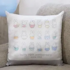 ❤タイトーくじ ミッフィー ラストワン賞　アートクッション❤