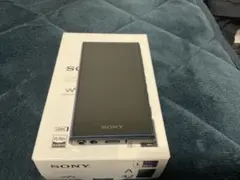 SONY NW-A306 デジタルオーディオプレーヤー 32GB - メルカリ