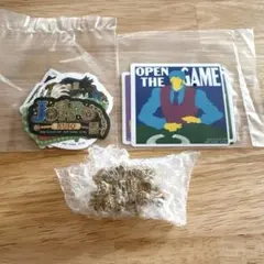 Item thumbnail for item 7bbff61d-f1e4-423f-a1fd-f1e33a0c0127