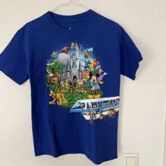 2026年最新】ヘインズTシャツ ディズニーの人気アイテム - メルカリ