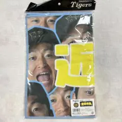 Item thumbnail for item 619a2736-d2e6-4d73-9966-d212dea19197