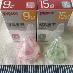 Item thumbnail for item b3e19d62-a397-47a9-92c9-c19036ad8369