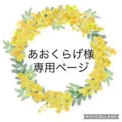 あおくらげ様専用ページ