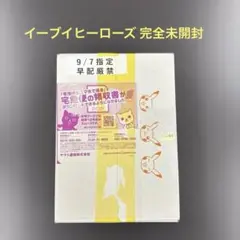 2026年最新】イーブイヒーローズ box 未開封 シュリンク付きの人気