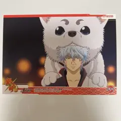 銀魂　カード　坂田銀時　オープニングカード